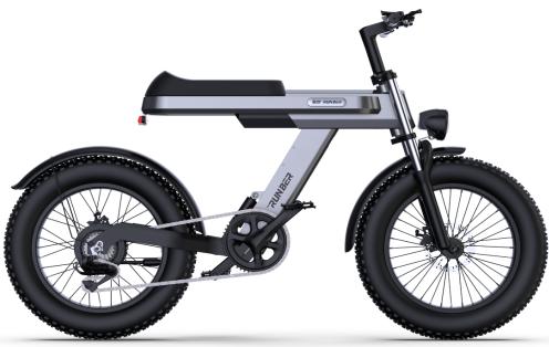 Mountain electric bicycle