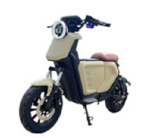 Electric Motorcycle Scoote