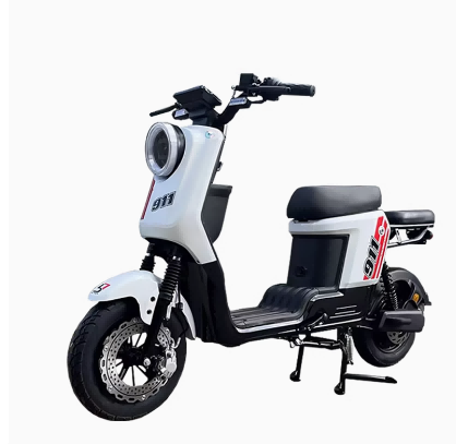 Electric Motorcycle Scooter