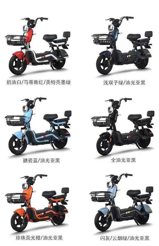 Lightweight electric bicycle lead-acid battery electric vehicle