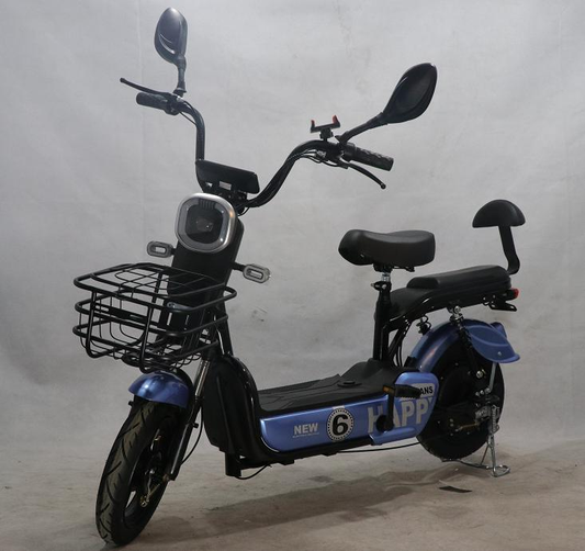 Lightweight electric bicycle lead-acid battery electric vehicle