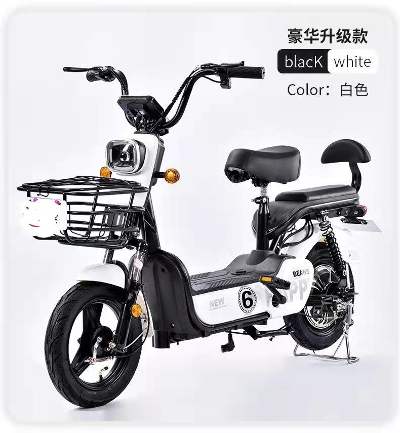 Lightweight electric bicycle