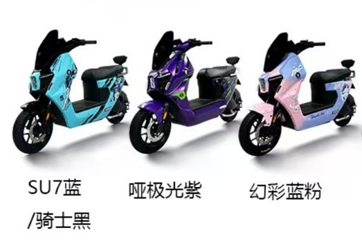 Women's pedal two-wheel electric motorcycle