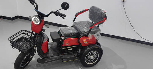 Electric tricycle for the elderly