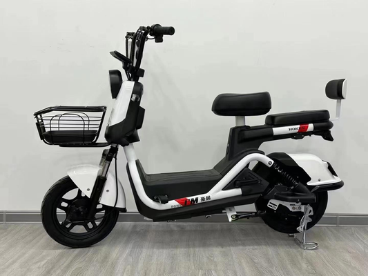 Lightweight electric bicycle