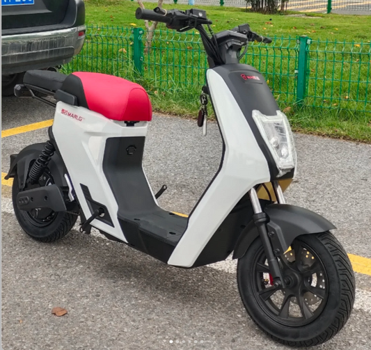 Electric Motorcycle Scoote