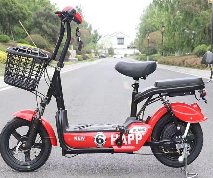 Lightweight electric bicycle lead-acid battery electric vehicle