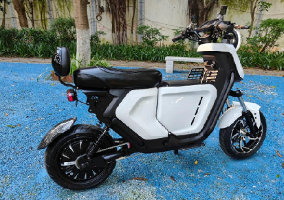 Electric Motorcycle Scoote