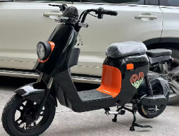 Pedal electric motorcycle