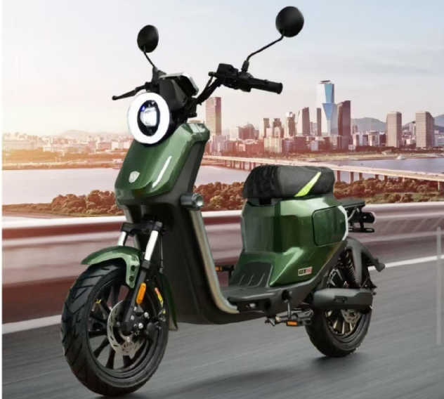 Electric Motorcycle Scoote