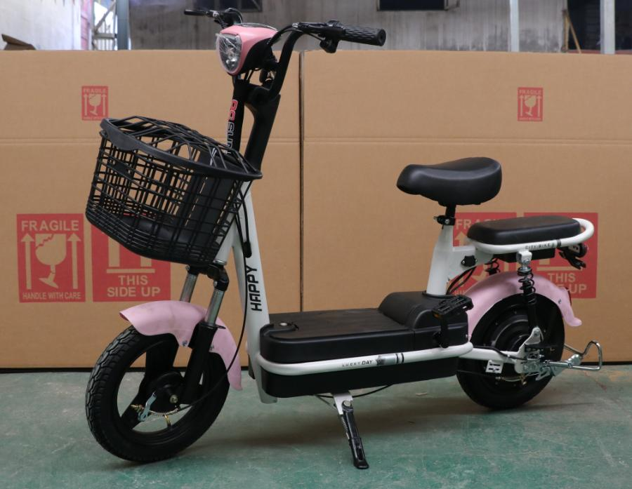 Lightweight electric bicycle lead-acid battery electric vehicle