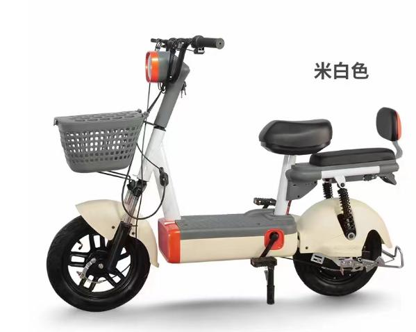 Lightweight electric bicycle lead-acid battery electric vehicle