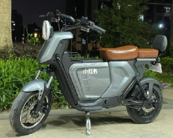 Electric Motorcycle Scoote